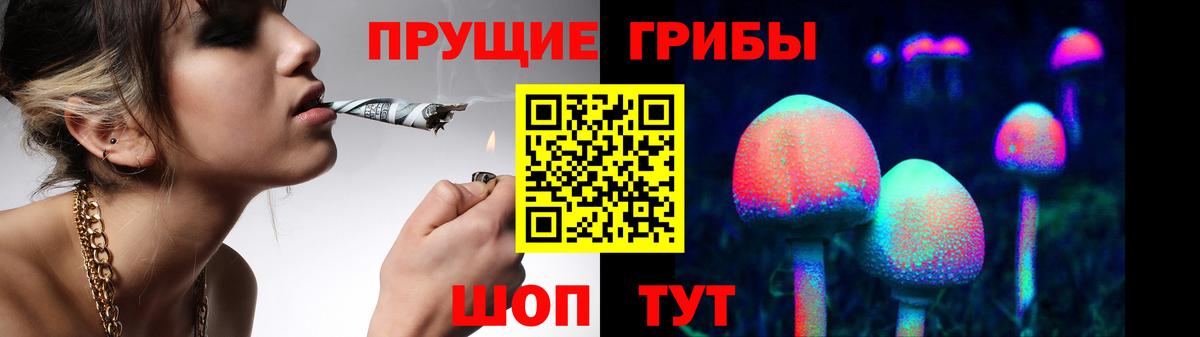 Галлюциногенные грибы GOLDEN TEACHER  Вход с VPN  Псилоцибиновые грибы GOLDEN TEACHER  Ялта 